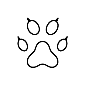 Cat paw icon