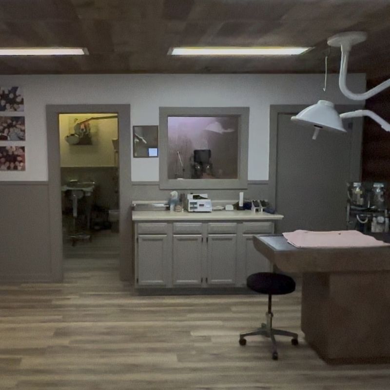 Animal Medical Center inside of treatment area