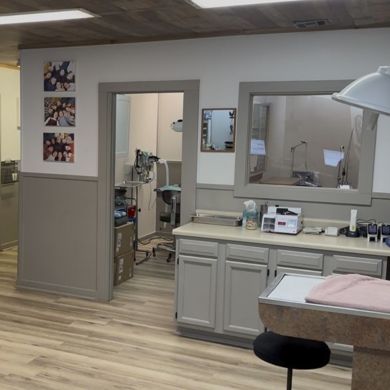 Animal Medical Center inside of treatment area
