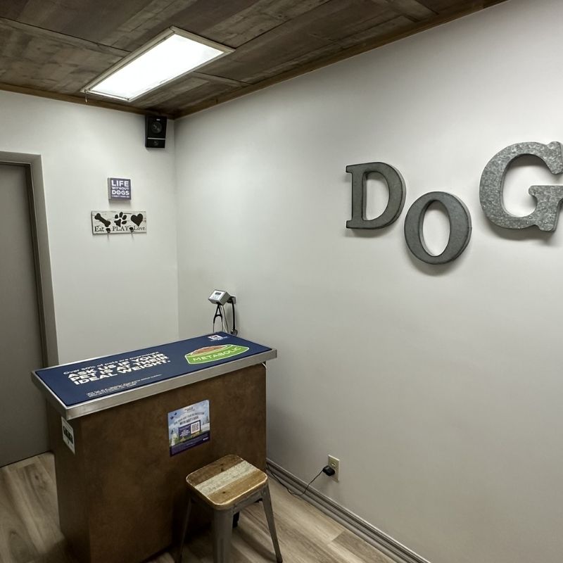 Animal Medical Center dog exam room