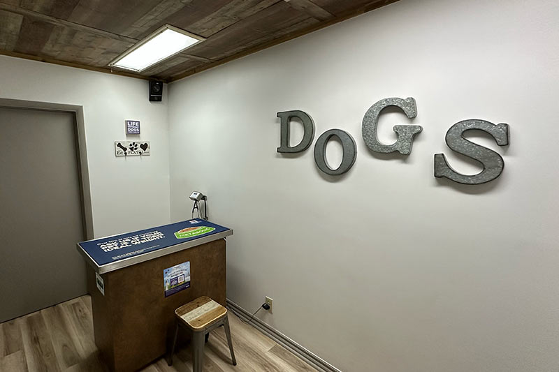 beige exam room with whimsical metal DOGS sign at Animal Medical Center